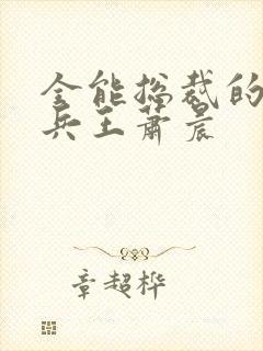 全能总裁的全能兵王萧晨