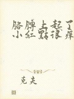 胳膊上起了好多小红点很痒怎么回事