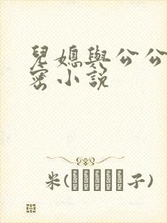 儿媳与公公的秘密小说