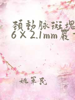 颈动脉斑块9.6×2.1mm严重吗