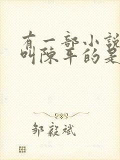 有一部小说主角叫陈平的是什么小说