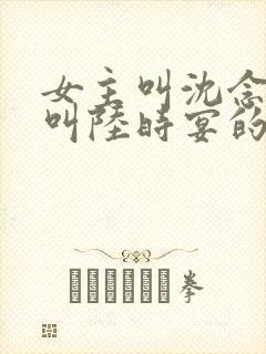 女主叫沈念男主叫陆时宴的小说