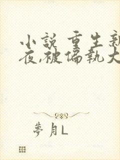 小说 重生新婚夜,被偏执大佬亲疯了