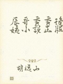 辰哥秀秀后妈丽姨小说正版阅读