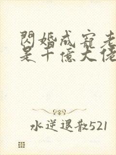 闪婚成宠老公竟是千亿大佬完整版