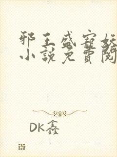 邪王盛宠妖孽妃小说免费阅读