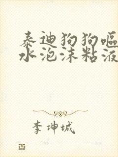 泰迪狗狗呕吐黄水泡沫粘液原因