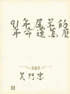 91年属羊的今年命运怎么样