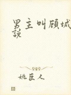 男主叫顾城的小说