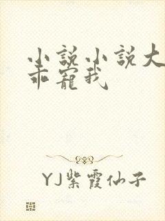 小说小说大叔乖乖宠我