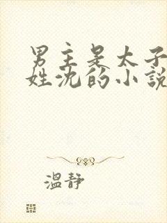 男主是太子女主姓沈的小说