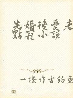 先婚后爱老公轻点宠小说
