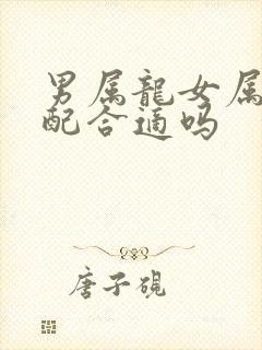 男属龙女属羊婚配合适吗