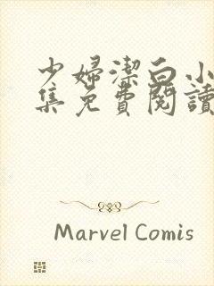 少妇洁白小说续集免费阅读