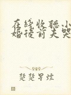 在线收听小说离婚后前夫哭着求复婚