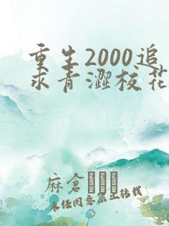 重生2000追求青涩校花同桌开始最新更新章节