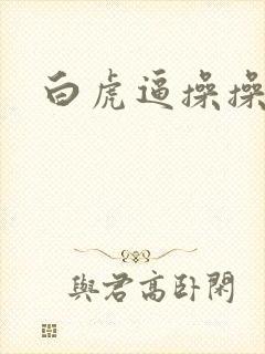 白虎逼操操操