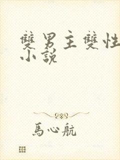 双男主双性总裁小说