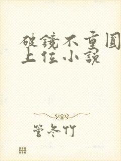 破镜不重圆男二上位小说