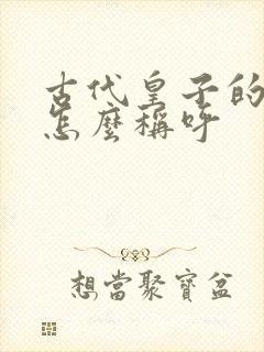 古代皇子的老婆怎么称呼