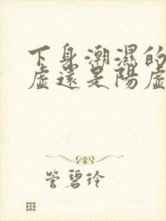 下身潮湿的是阴虚还是阳虚