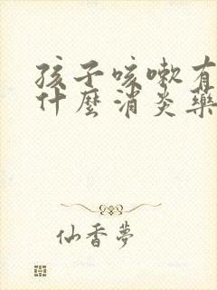 孩子咳嗽有痰吃什么消炎药效果最好