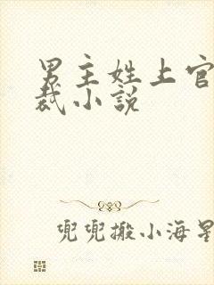 男主姓上官的总裁小说