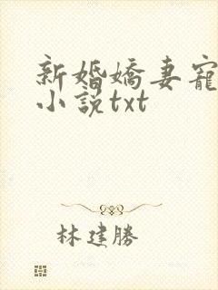新婚娇妻宠上瘾小说txt