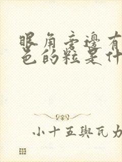 眼角旁边有个白色的粒是什么