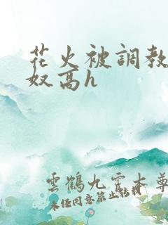 花火被调教成肉奴高h