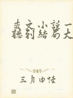 爽文小说一口气听到结局大女主