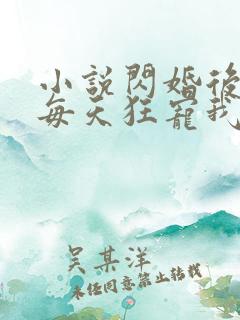 小说闪婚后大叔每天狂宠我