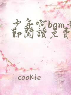 少年啊bgm章节阅读免费全文