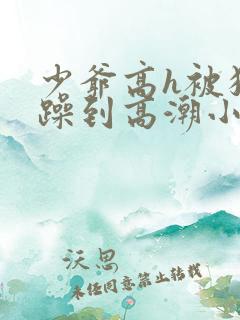 少爷高h被狂c躁到高潮小说