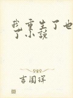 我重生了也离婚了小说