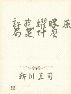 许我耀眼原著结局是什么