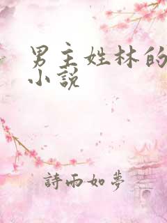 男主姓林的玄幻小说