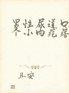 男性尿道口长了个小肉疙瘩