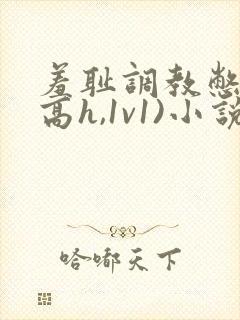 羞耻调教憋尿(高h,1v1)小说