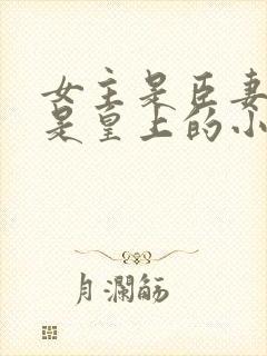 女主是臣妻男主是皇上的小说