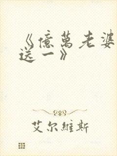 《亿万老婆买一送一》