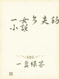 一女多夫的穿越小说