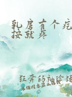 乳房有个疙瘩一按就疼