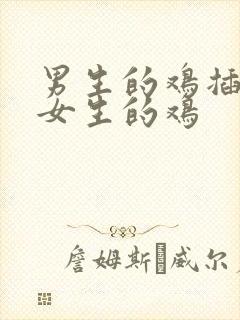 男生的鸡插进去女生的鸡