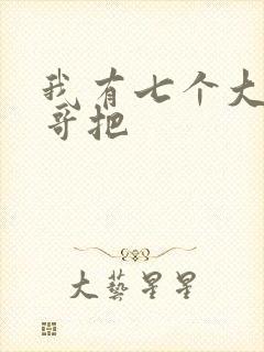 我有七个大佬哥哥把