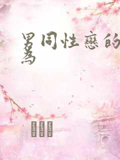 男同性恋的性行为