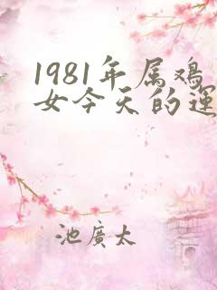 1981年属鸡女今天的运气