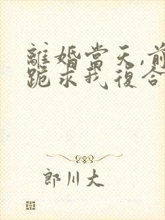 离婚当天,前夫跪求我复合短剧