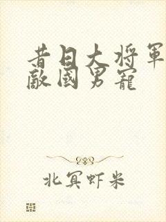 昔日大将军沦为敌国男宠