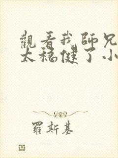 观看我师兄实在太稳健了小说